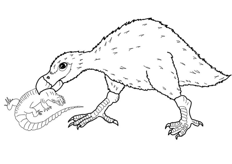 Desenho de Pássaros para colorir e imprimir: número 27