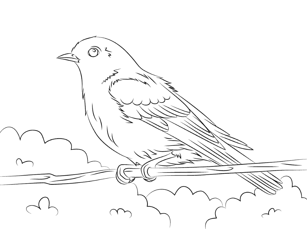 Desenho de Pássaros para colorir e imprimir: número 28