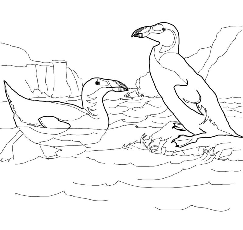 Desenho de Pássaros para colorir e imprimir: número 37