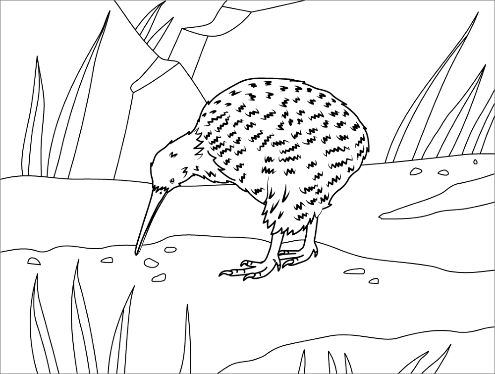 Desenho de Pássaros para colorir e imprimir: número 39