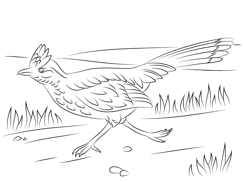 Desenho de Pássaros para colorir e imprimir: número 40