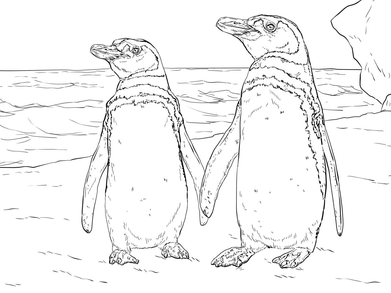 Desenho de Pássaros para colorir e imprimir: número 46