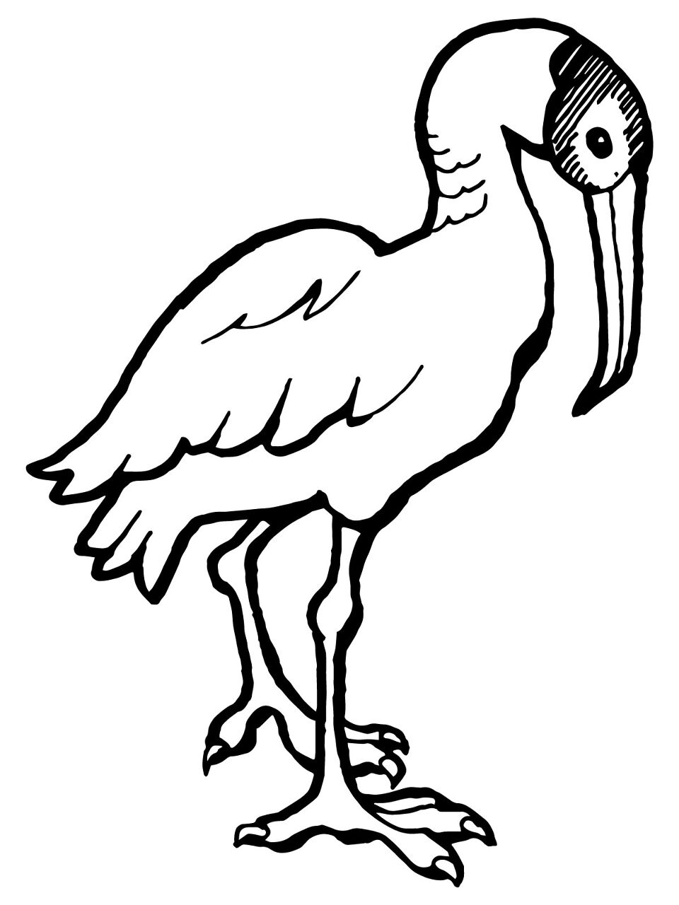 Desenho de Pássaros para colorir e imprimir: número 47