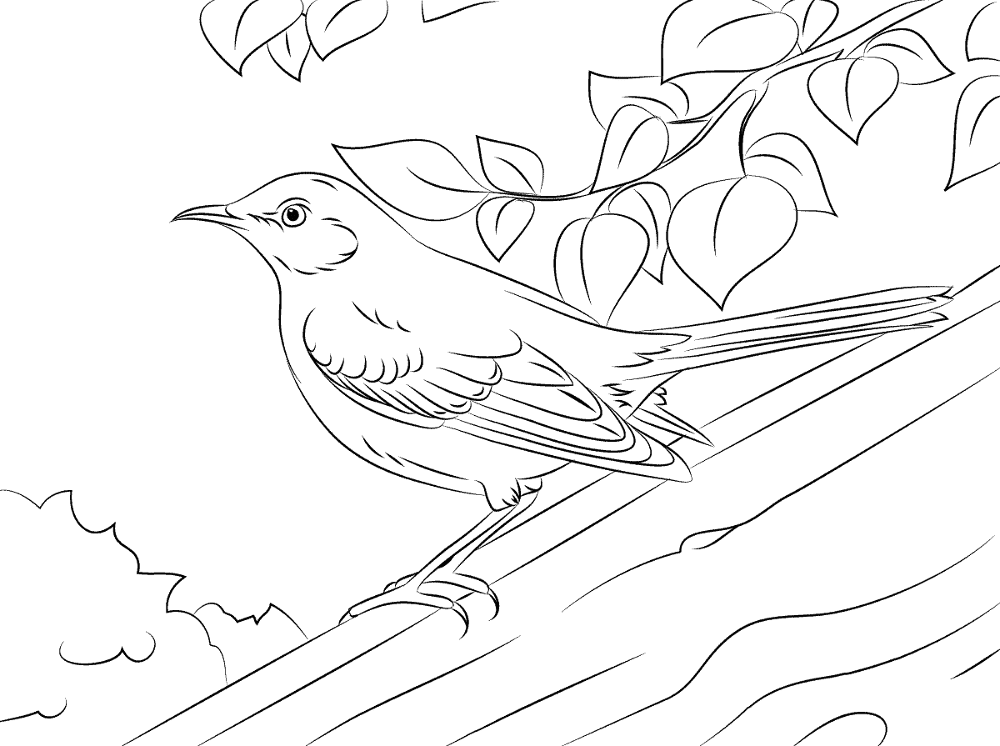 Desenho de Pássaros para colorir