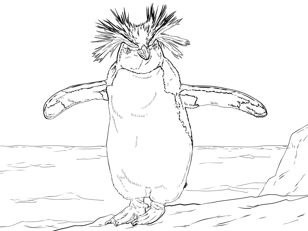 Desenho de Pássaros para colorir