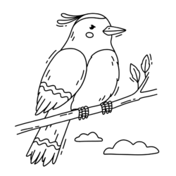 Desenho de Pássaros para colorir