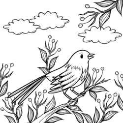 Desenho de Pássaros para colorir