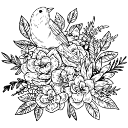 Desenho de Pássaros para colorir