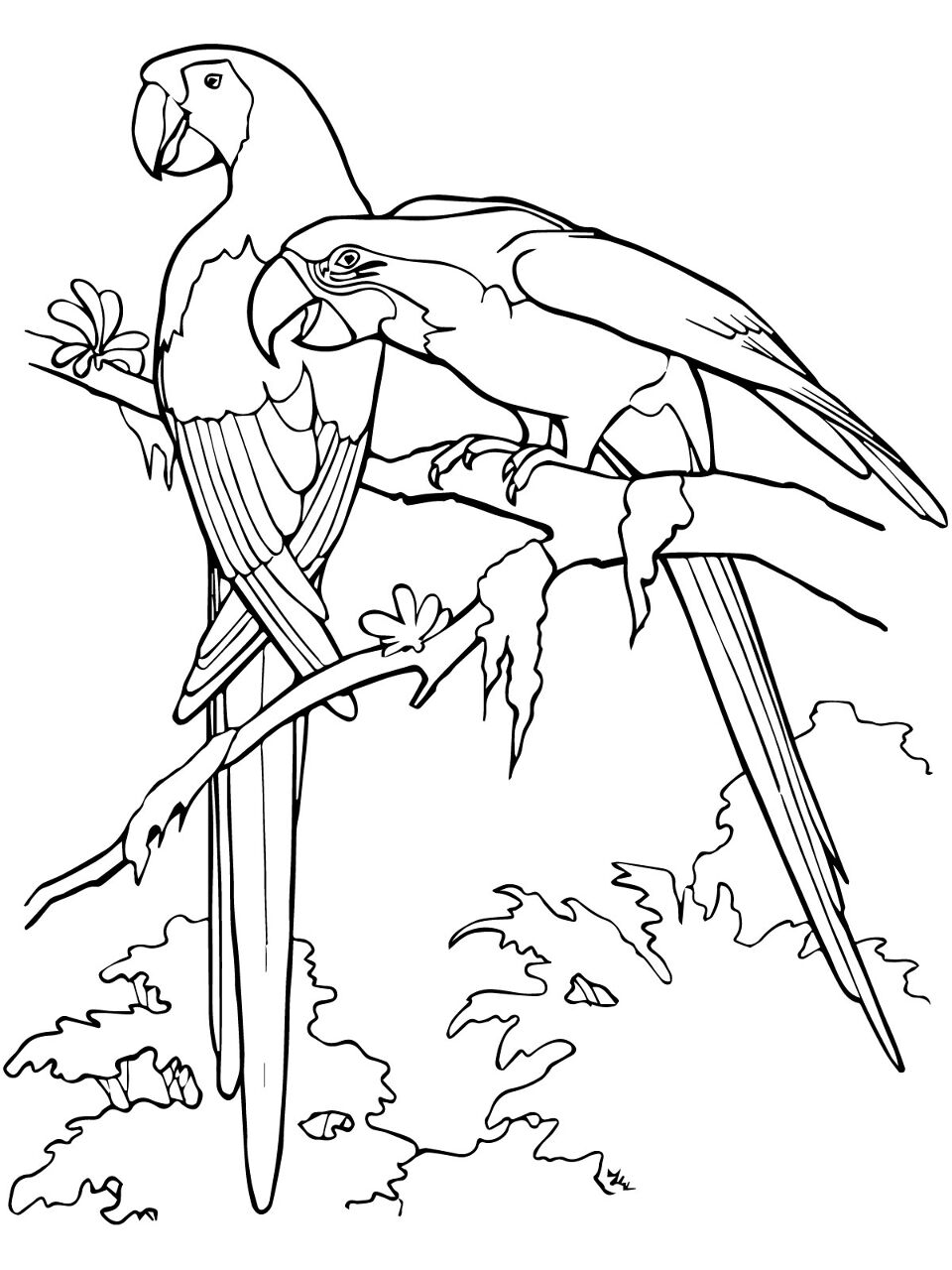 Desenho de Pássaros para colorir