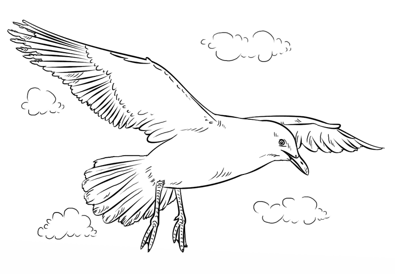Desenho de Pássaros para colorir
