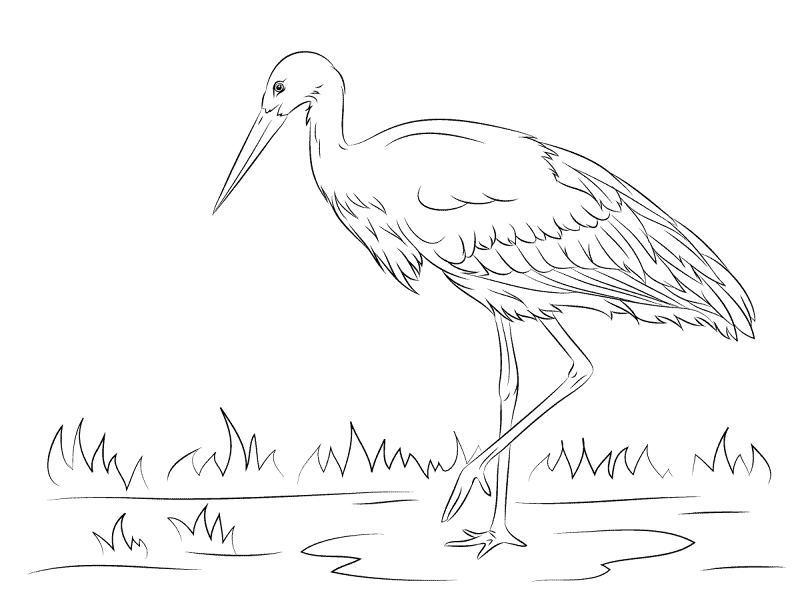 Desenho de Pássaros para colorir