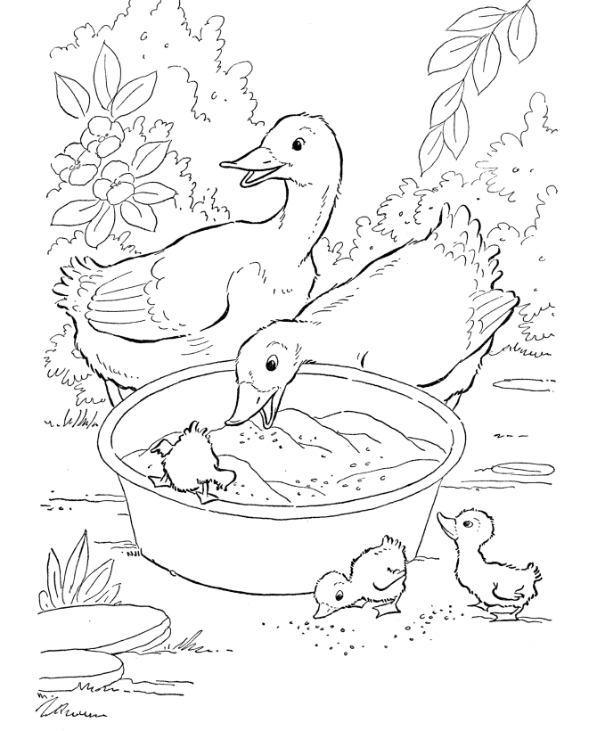 Desenho de Patinhos para colorir e imprimir: número 2