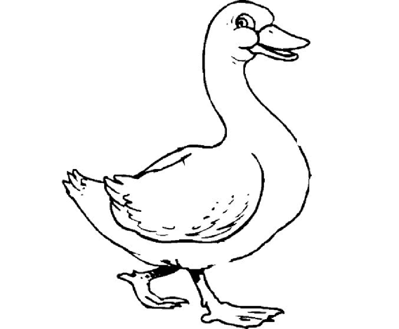 Desenho de Patinhos para colorir e imprimir: número 3
