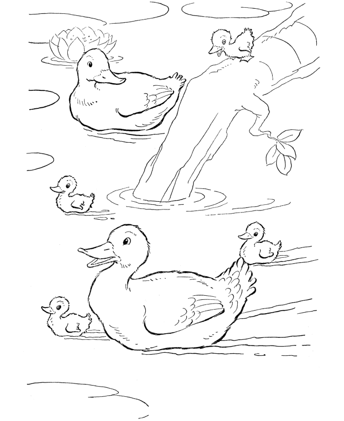 Desenho de Patinhos para colorir e imprimir: número 4