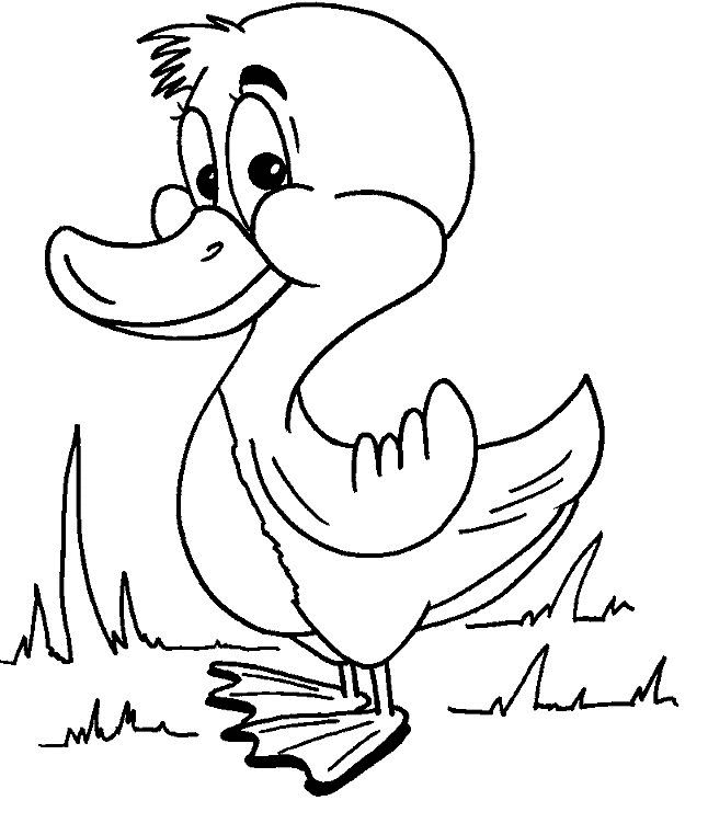 Desenho de Patinhos para colorir e imprimir: número 6