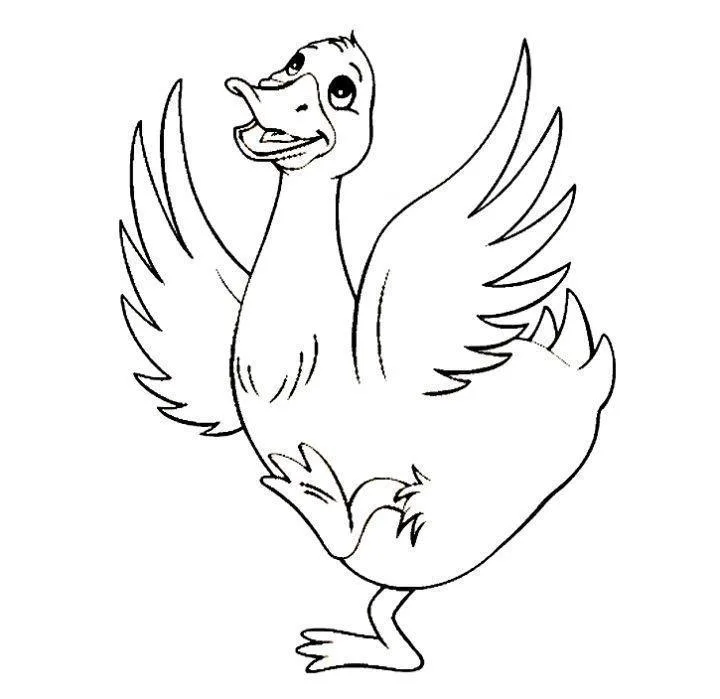 Desenho de Patinhos para colorir e imprimir: número 12