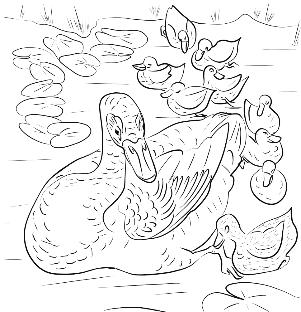 Desenho de Patos para colorir e imprimir: número 3