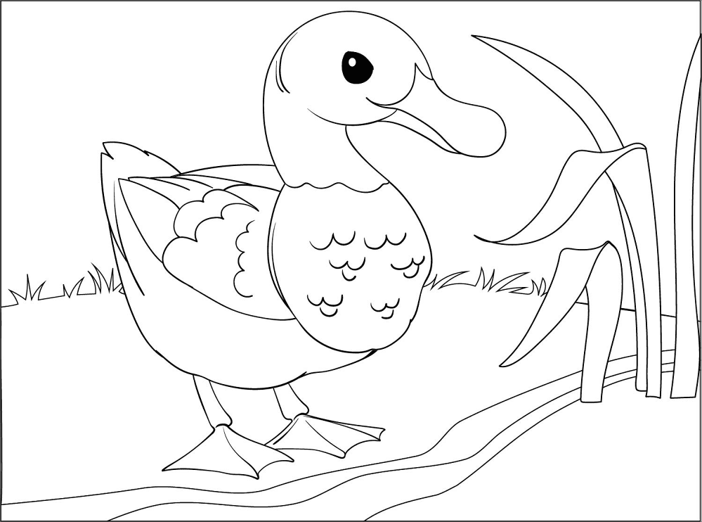 Desenho de Patos para colorir e imprimir: número 7
