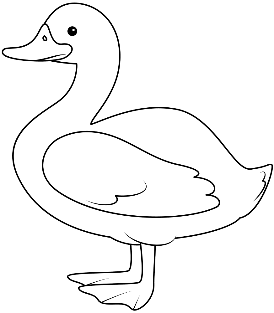 Desenho de Patos para colorir e imprimir: número 9