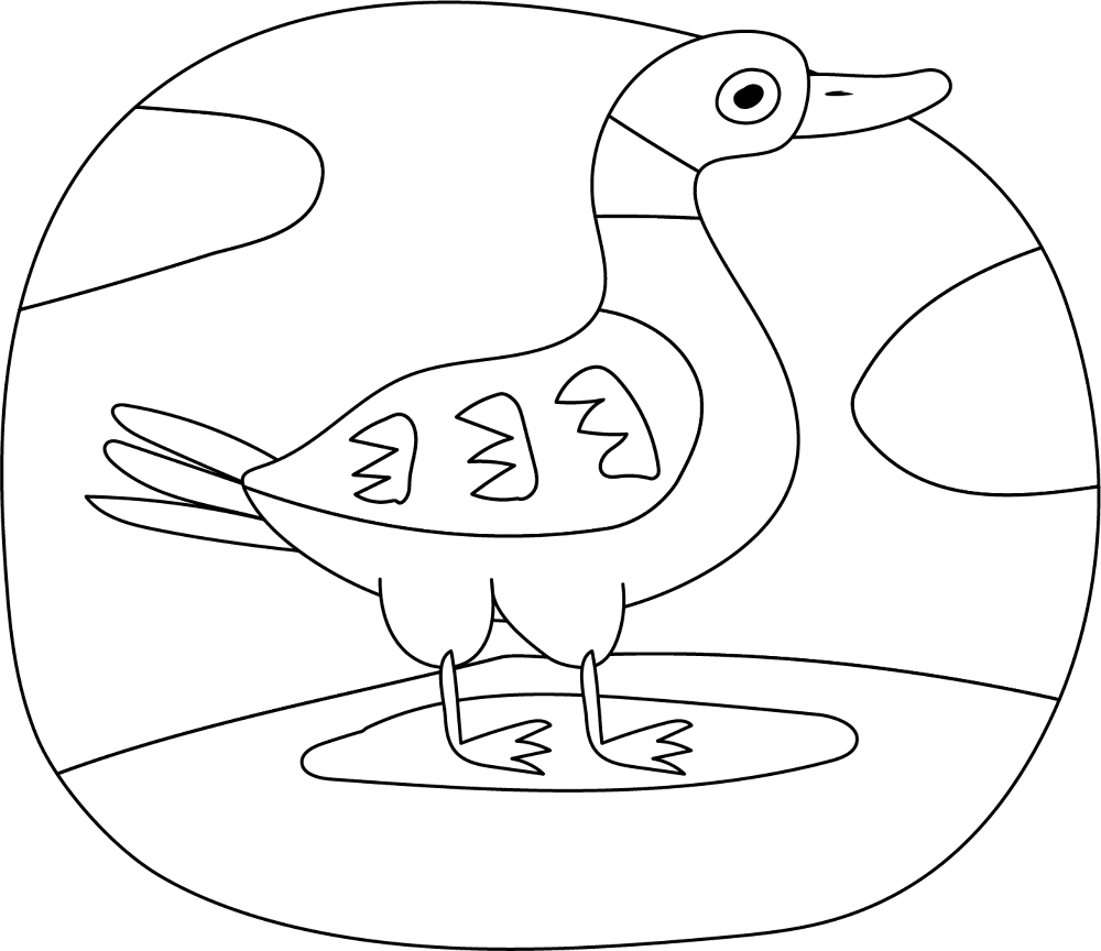 Desenho de Patos para colorir e imprimir: número 11
