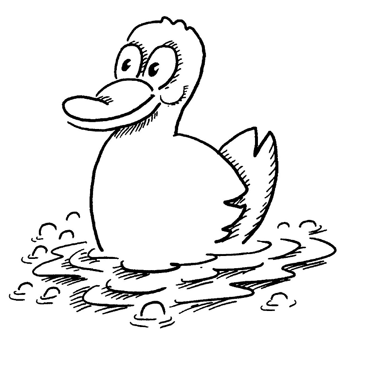 Desenho de Patos para colorir e imprimir: número 13
