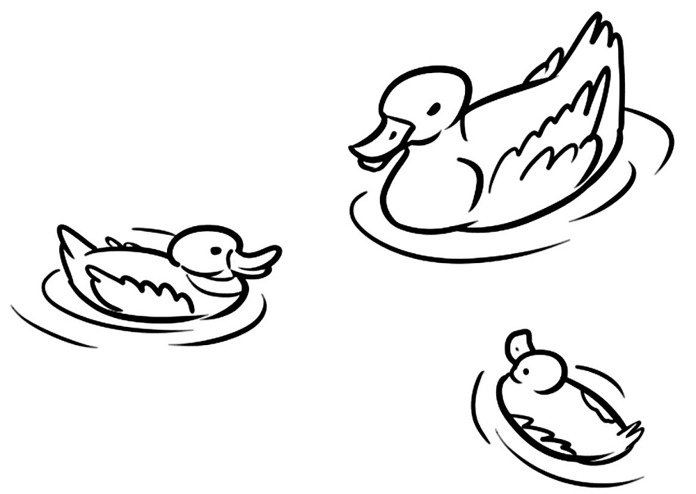 Desenho de Patos para colorir e imprimir: número 15