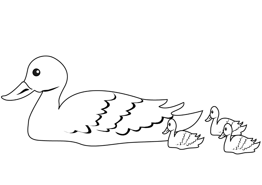 Desenho de Patos para colorir e imprimir: número 16