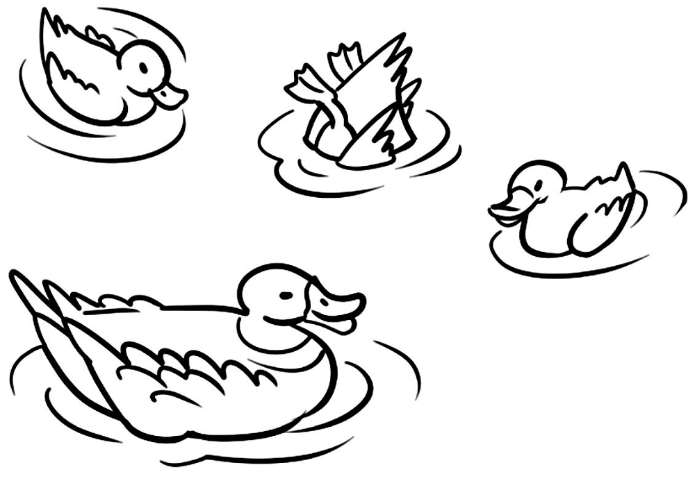 Desenho de Patos para colorir e imprimir: número 18