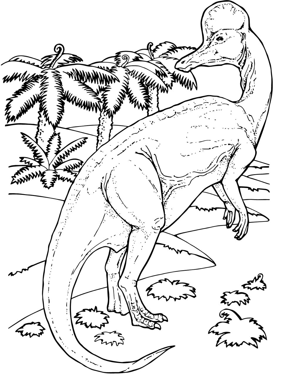 Desenho de Patos para colorir e imprimir: número 19
