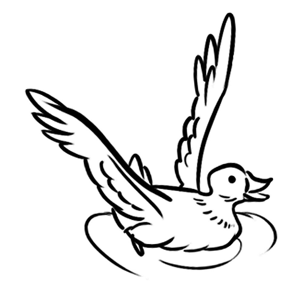 Desenho de Patos para colorir e imprimir: número 20