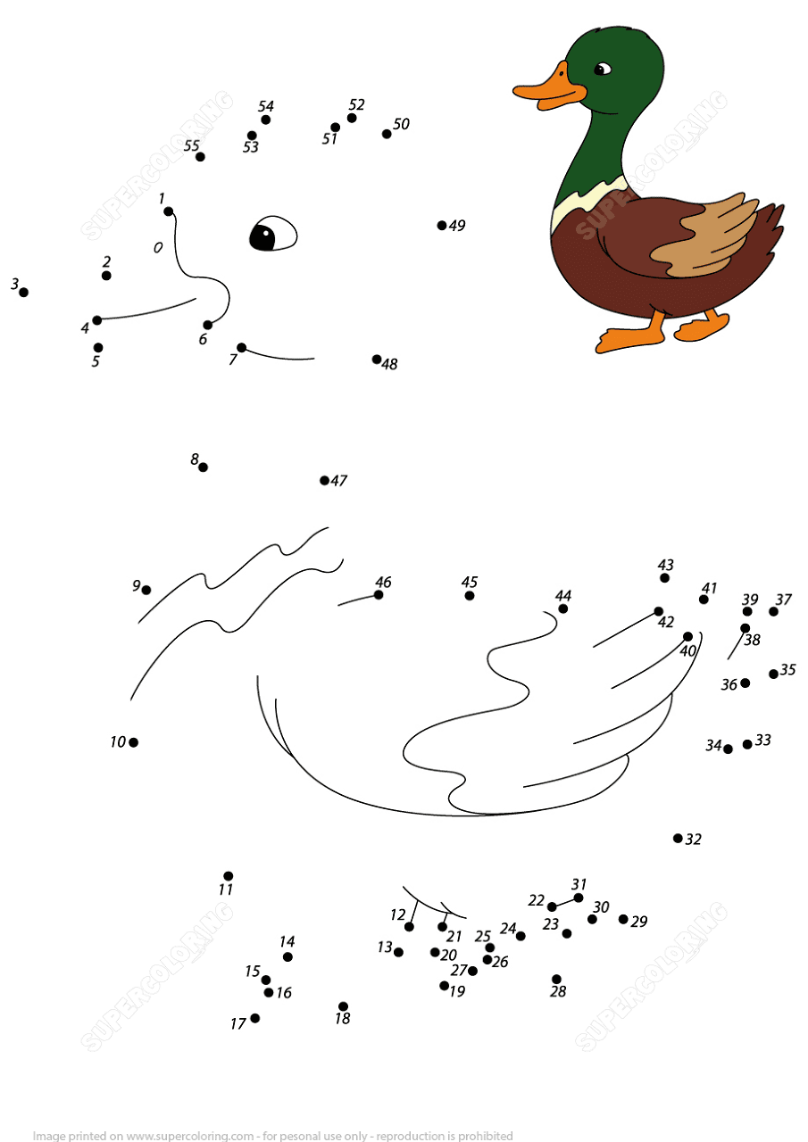 Desenho de Patos para colorir e imprimir: número 24