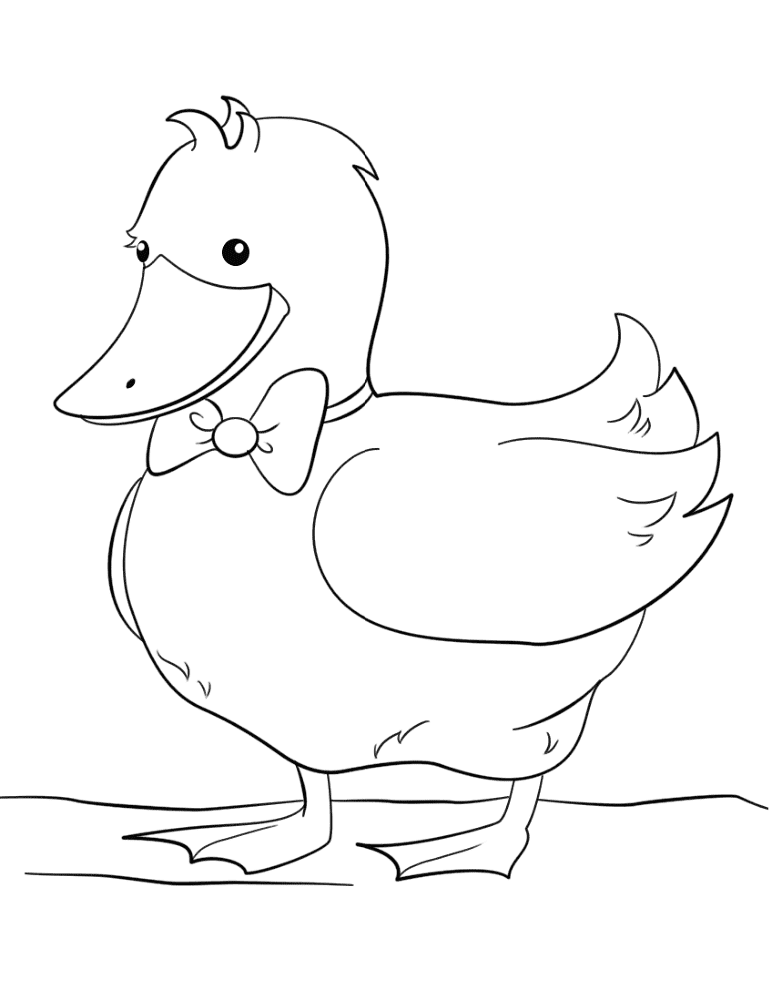 Desenho de Patos para colorir e imprimir: número 28