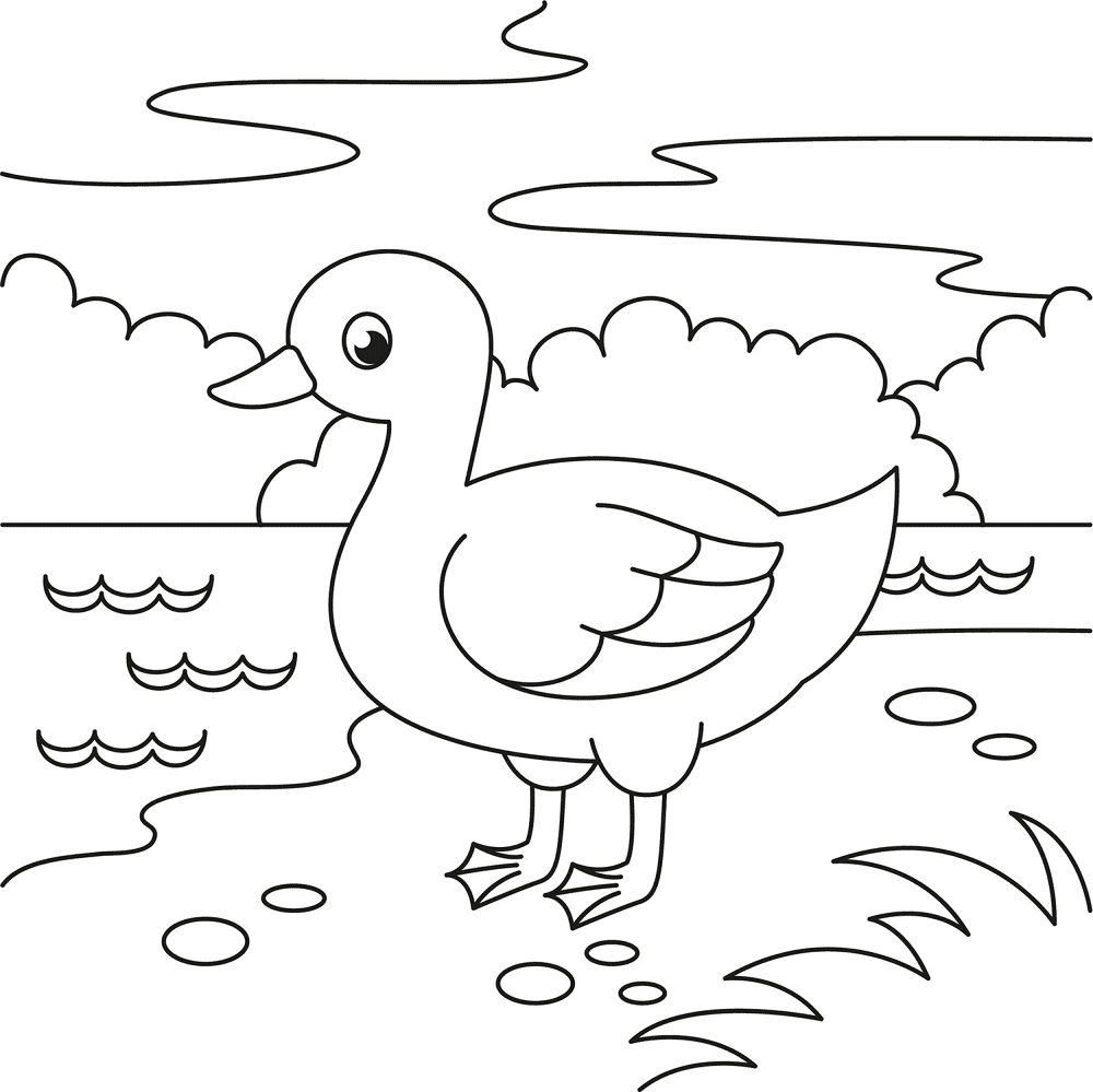Desenho de Patos para colorir e imprimir: número 29