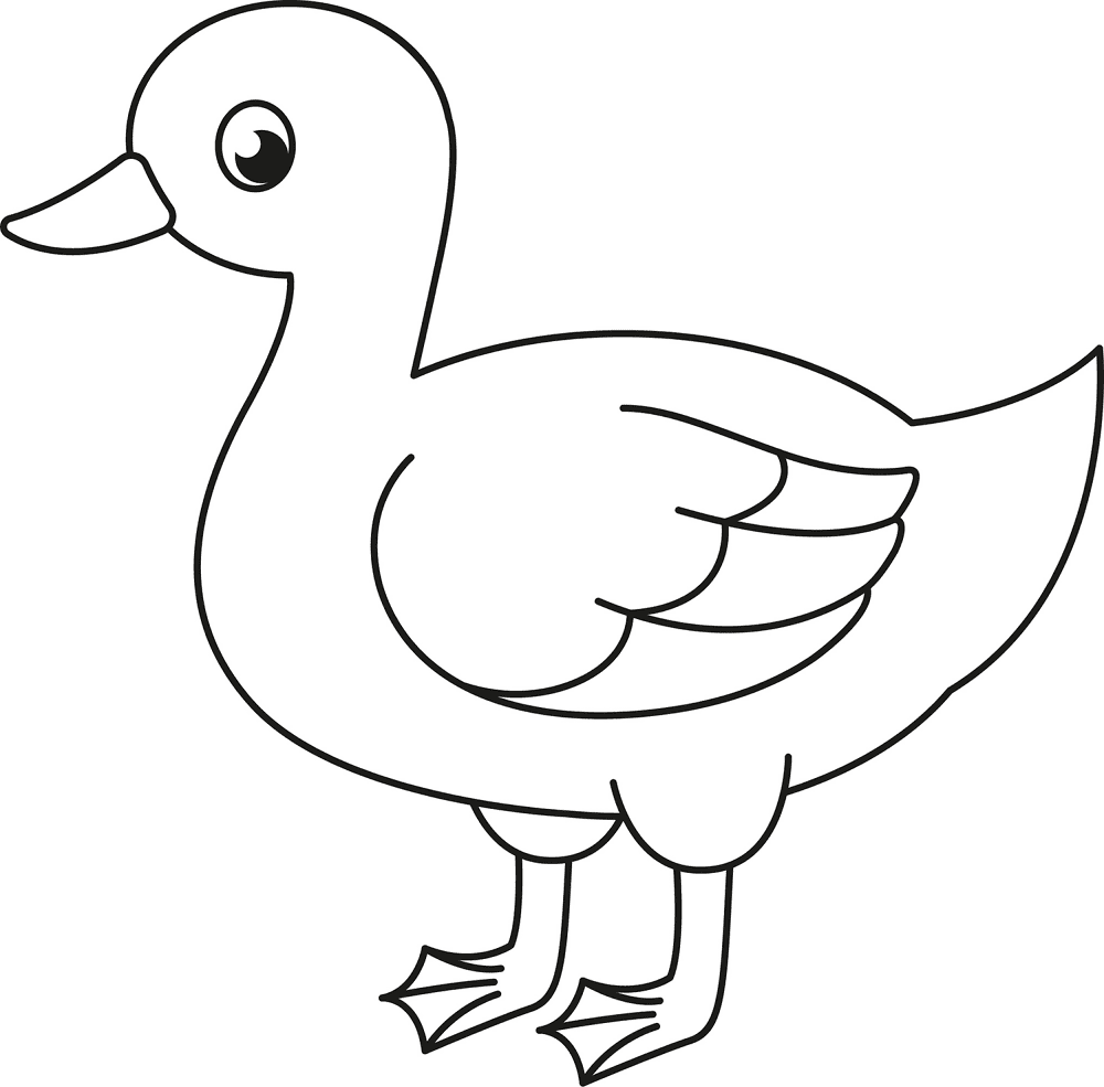 Desenho de Patos para colorir e imprimir: número 30