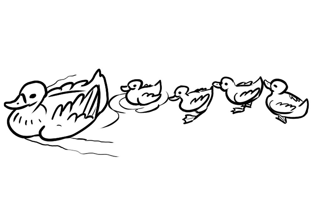 Desenho de Patos para colorir e imprimir: número 32