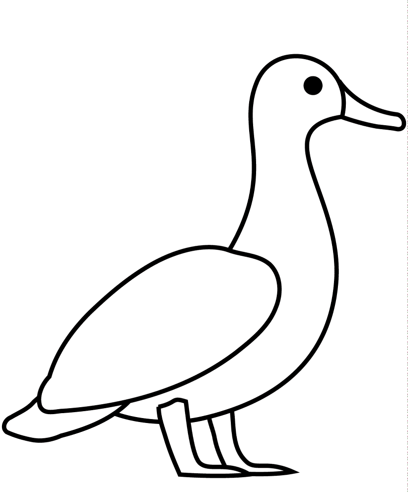 Desenho de Patos para colorir e imprimir: número 35