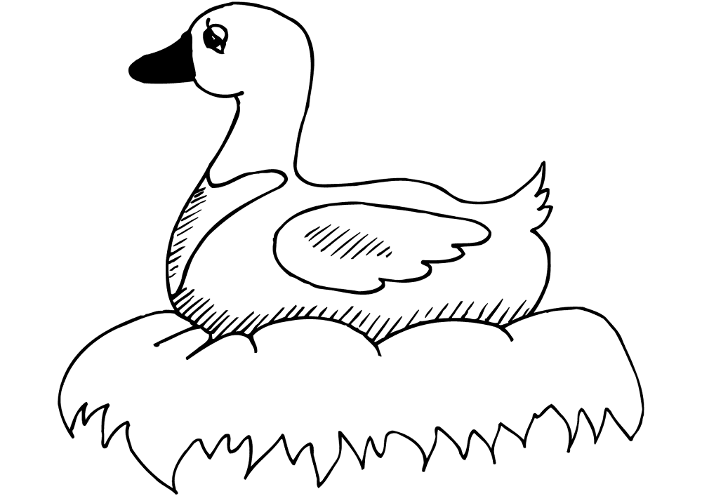 Desenho de Patos para colorir e imprimir: número 38