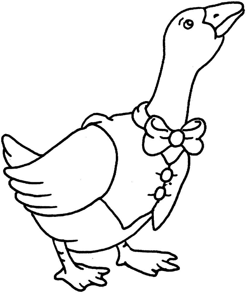 Desenho de Patos para colorir e imprimir: número 40