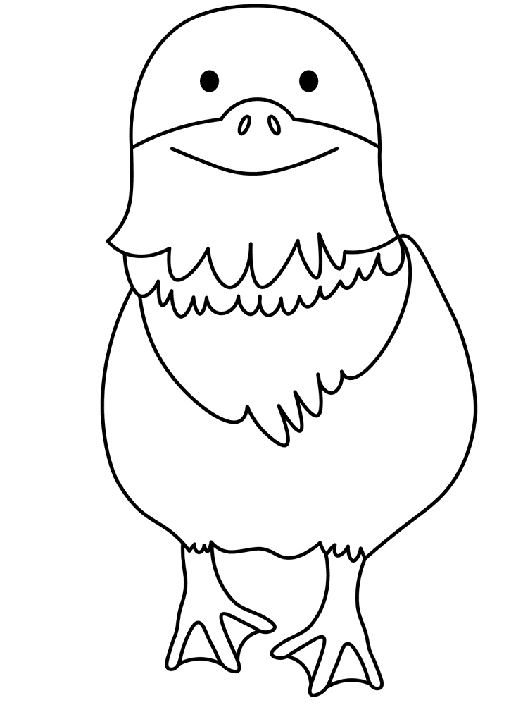 Desenho de Patos para colorir e imprimir: número 46