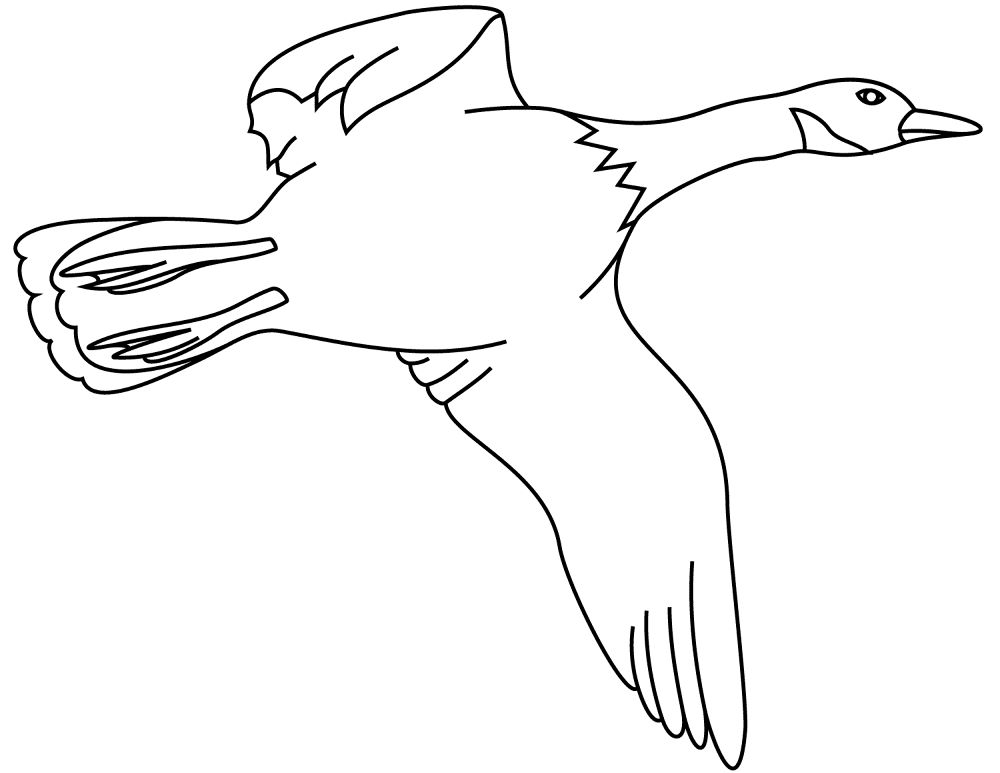 Desenho de Patos para colorir e imprimir: número 48