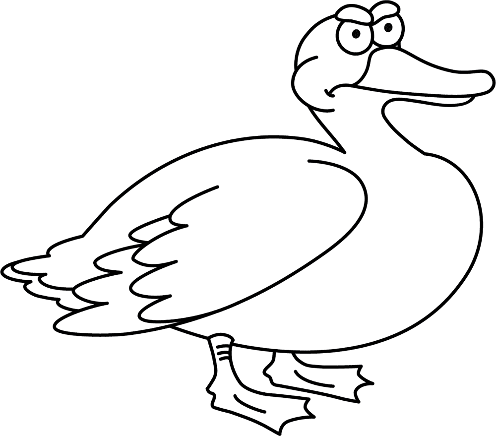 Desenho de Patos para colorir