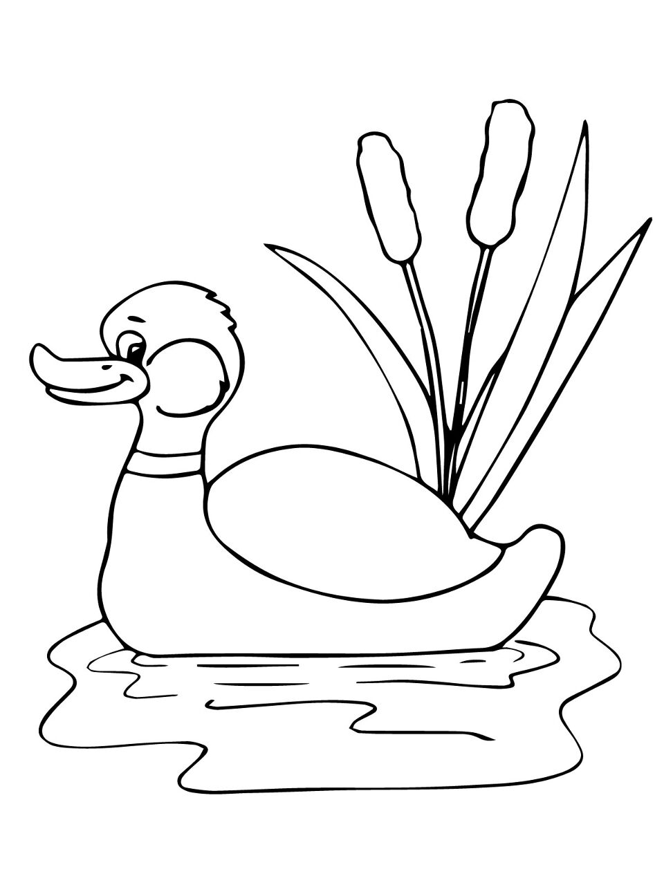 Desenho de Patos para colorir