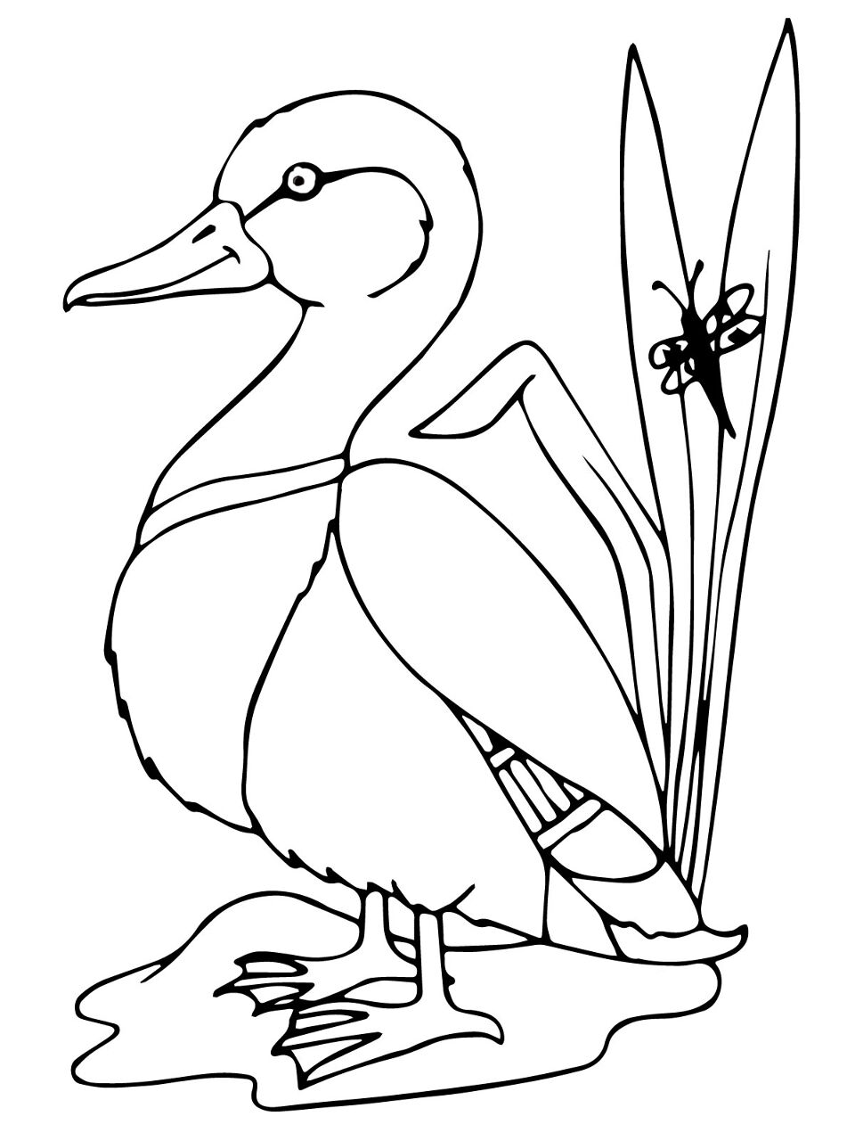 Desenho de Patos para colorir