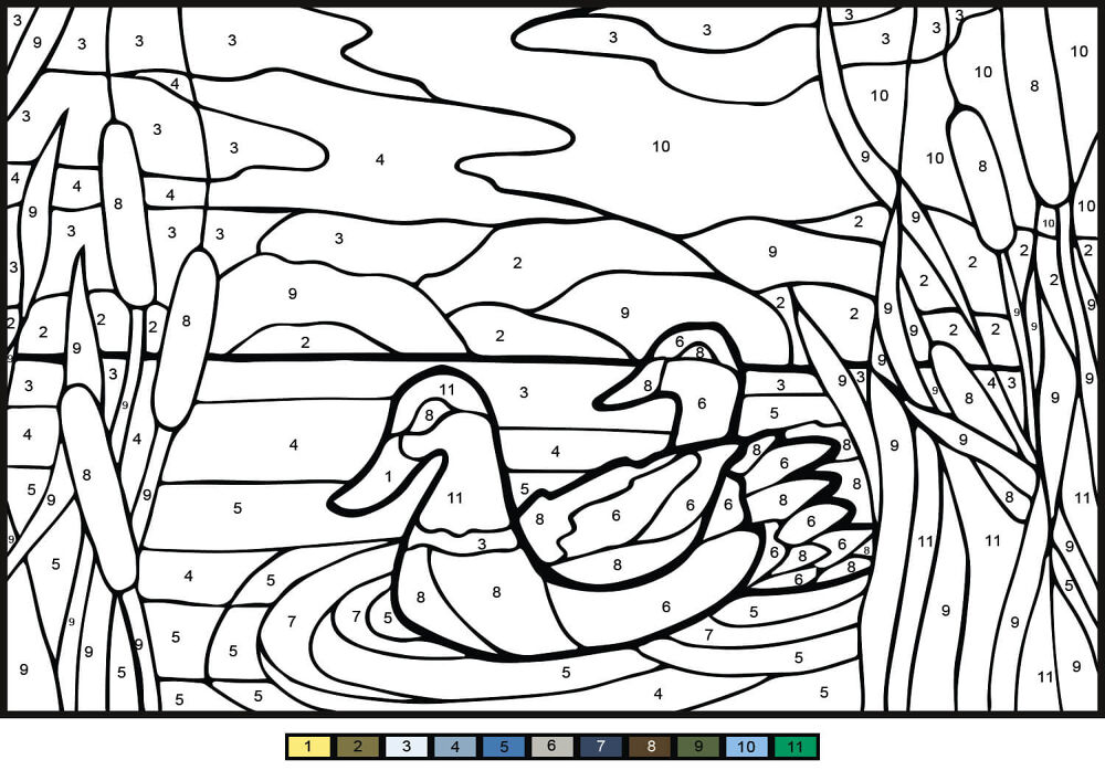 Desenho de Patos para colorir