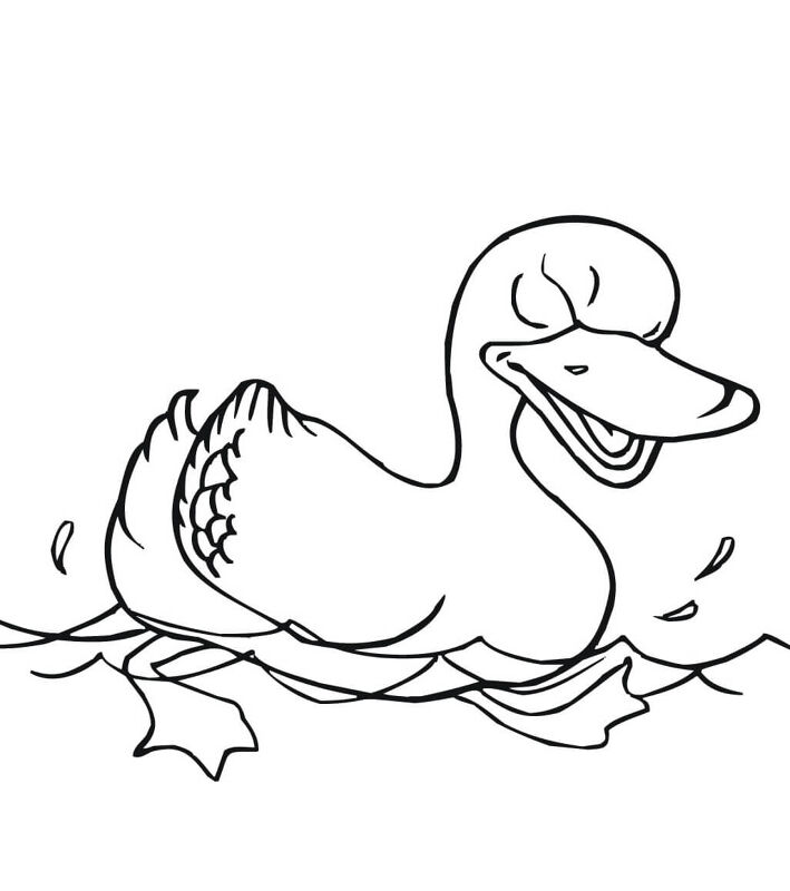 Desenho de Patos para colorir