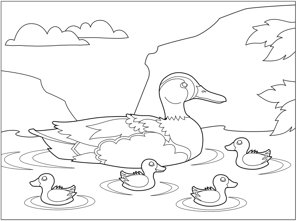 Desenho de Patos para colorir