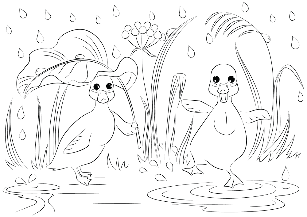 Desenho de Patos para colorir