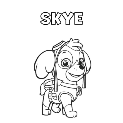 Desenho de Patrulha Canina para colorir e imprimir: número 11