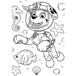 Desenho de Patrulha Canina para colorir e imprimir: número 20