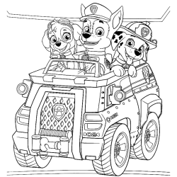 Desenho de Patrulha Canina para colorir e imprimir: número 21